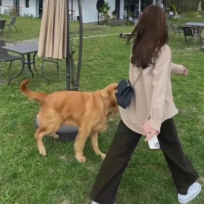 见色忘友2